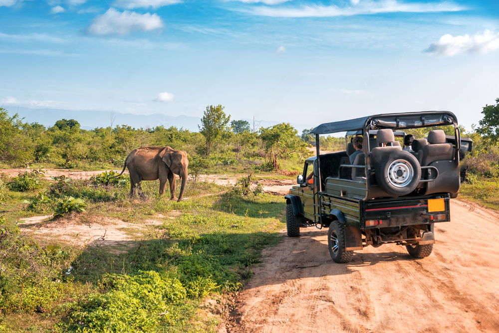 Uganda tourism