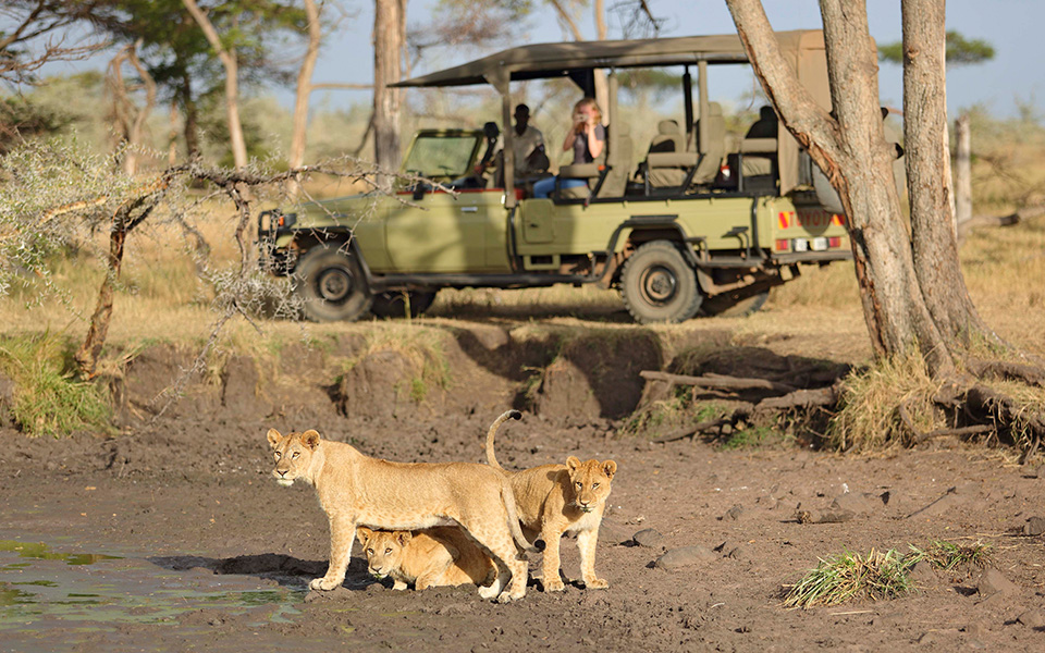 lion trekking